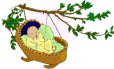 Tree-top 100 baby names logo